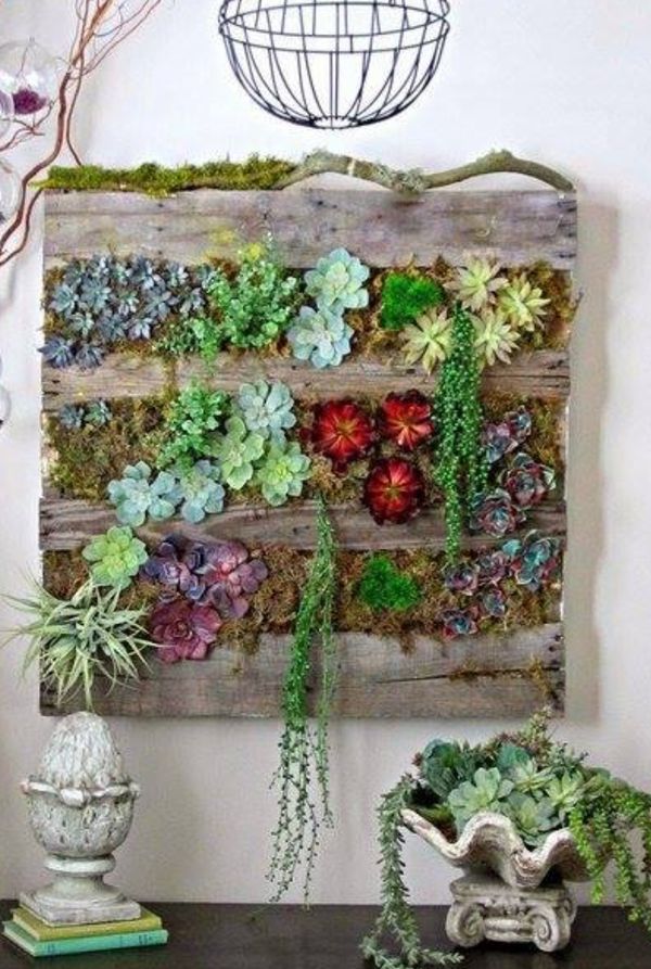 Styling Tricks für Pflanzen zu Hause ;)