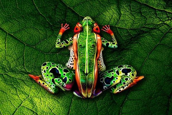 Bizarre Körperkunst: Tier-Bodypaintings