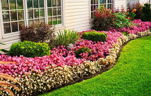 Märchenhafter Blumengarten