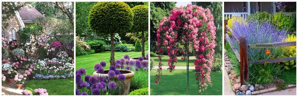 Garten-Blumen-Deko: verschiedene Ideen :)