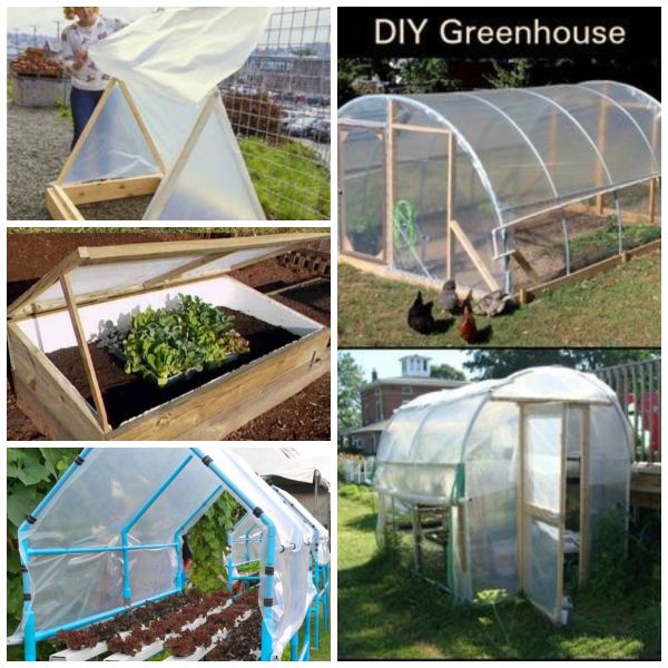 Gewächshaus selber bauen – kreative Ideen