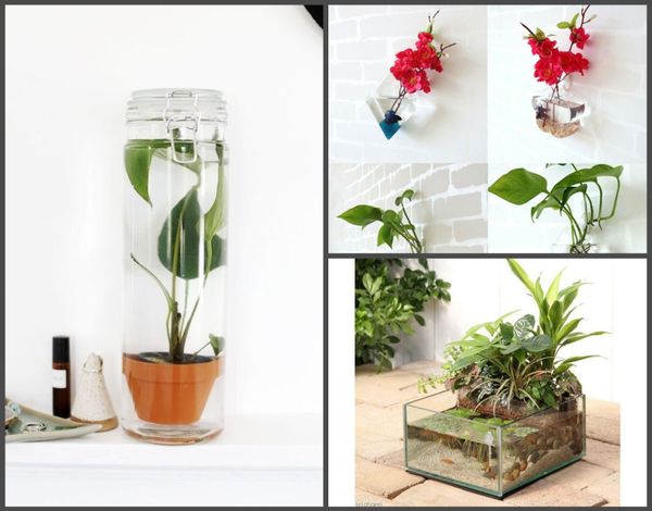 Mini Wassergarten für Zuhause