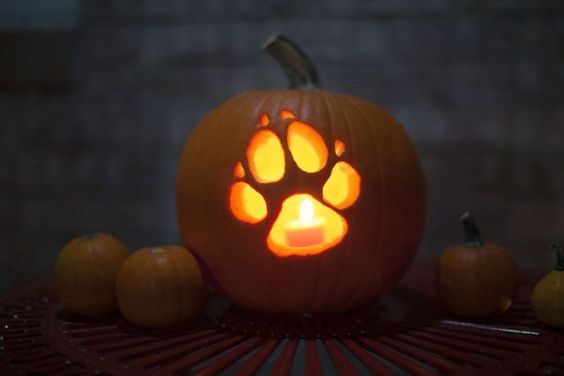 Kürbis schnitzen – 11 kreative Halloween Ideen :)