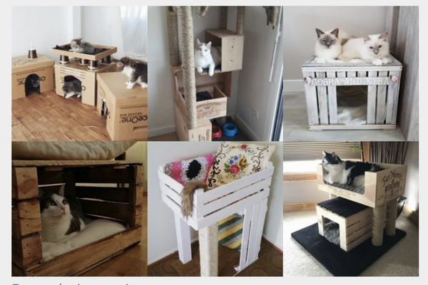 DIY Katzenbett aus Wein- oder Obstkisten zum Selbermachen :)