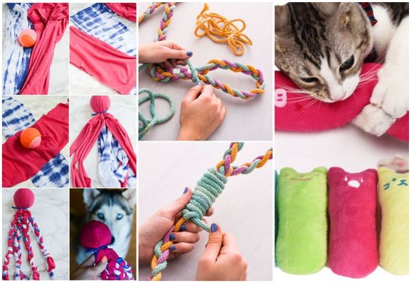 Spielzeuge für deine Haustiere selber machen :)