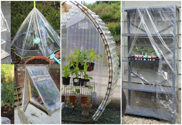 Gewächshaus selber bauen