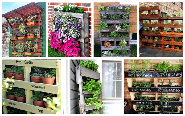 Vertikaler Garten aus Paletten – Ideen für einen kleinen Garten :)