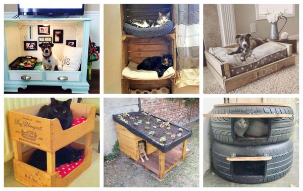 DIY Bette für eure Haustiere – günstige Ideen :)