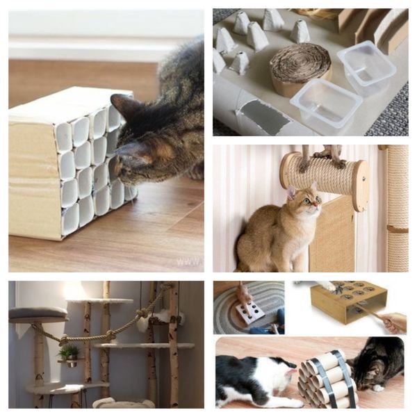 Katzenspielzeug selber machen – fantastische Ideen für Katzenliebhaber