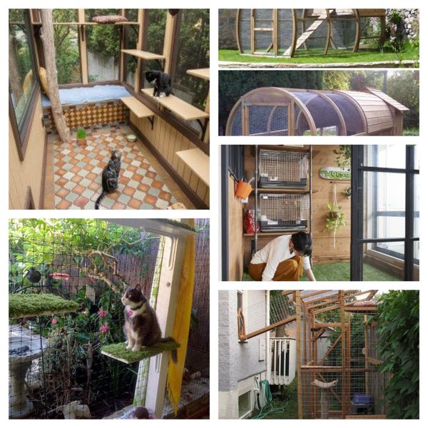 DIY – 15 tolle Außengehege für Katzen