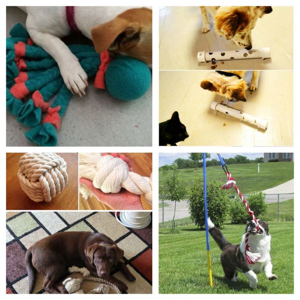 17 clevere DIY Ideen für euren besten vierbeinigen Freund