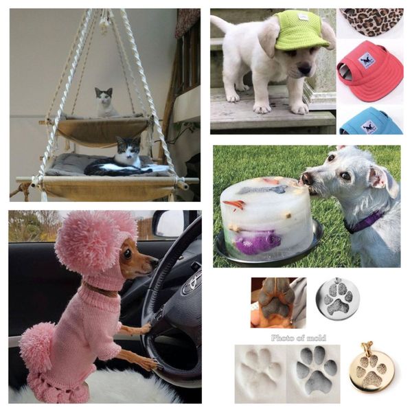 Schöne und clevere Ideen für eure Haustiere