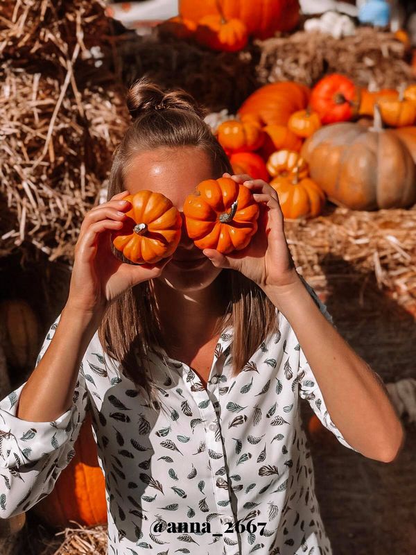 Perfekte Kürbis Fotolocations in Deutschland