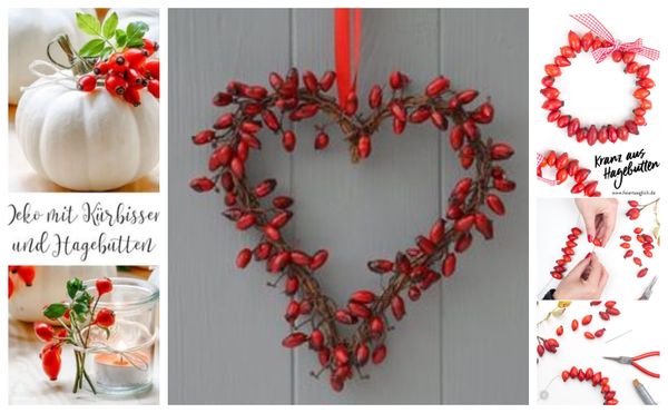 Hagebutten- einfache selbstgemachte Herbstdeko ist ein Spaß für die ganze Familie