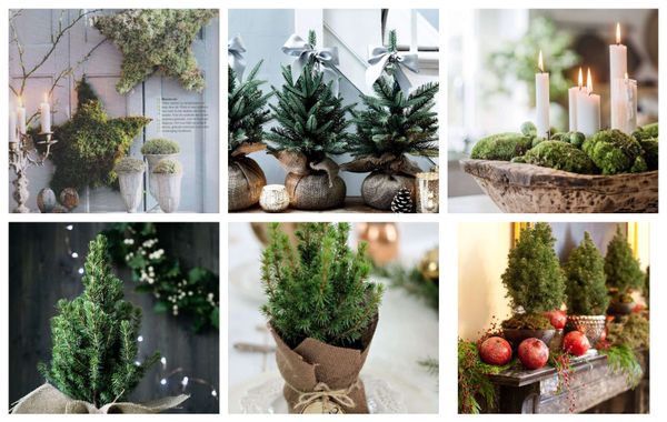 Bringt die Natur ins Haus: winterliche Dekoideen mit Naturmaterialien :)