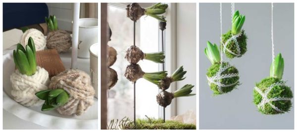 Originelle Dekorationen mit Blumenzwiebeln :)