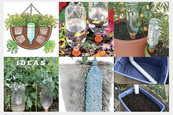 Geniale DIY Ideen, wie man mit PET Flaschen bewässern kann