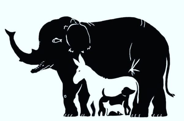 Rätsel: Wie viele Tiere siehst du auf dem Bild? Wenn du sie alle finden kannst, bist du ein Genie!