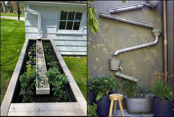 Regenwasser sammeln – die besten Ideen!