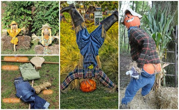 Vogelscheuche selber machen