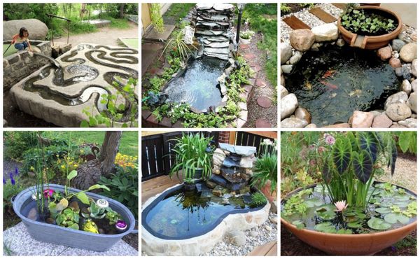 Mini-Teich selber anlegen