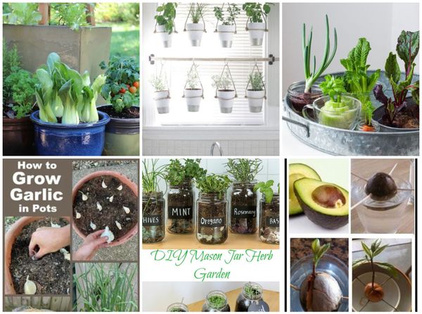 Garten im Topf – so einfach!