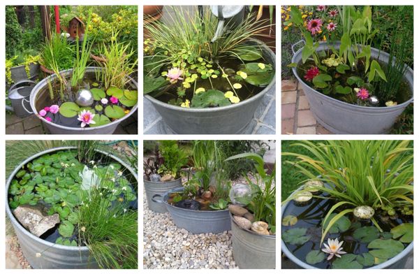 Zinkwanne als ein Wasser-Element im Garten