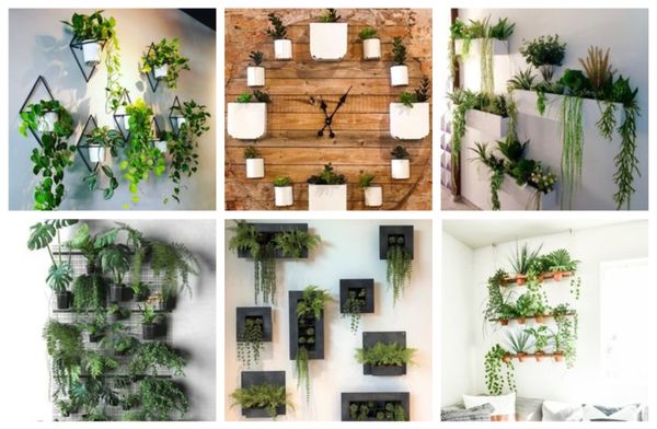 Vertikal an der Wand pflanzen