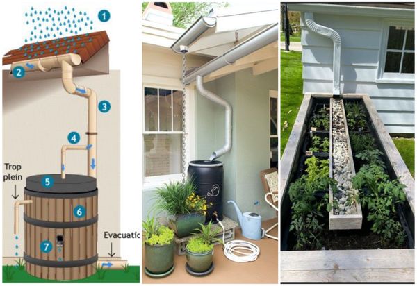 Regenwassernutzungssystem selber bauen