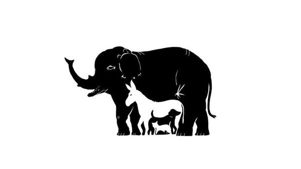 Optische Illusion: Können Sie alle 13 Tiere in unter 20 Sekunden erkennen?