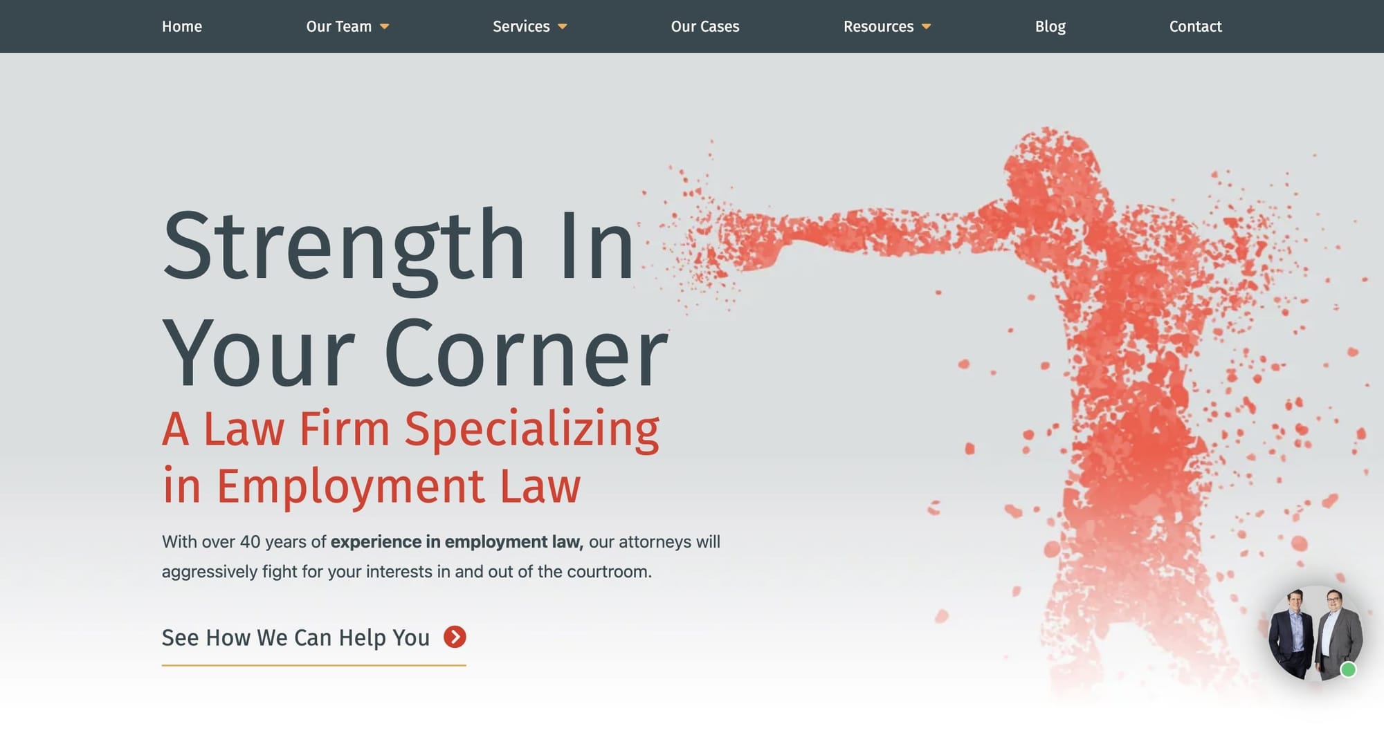 Lipsky Lowe LLP website