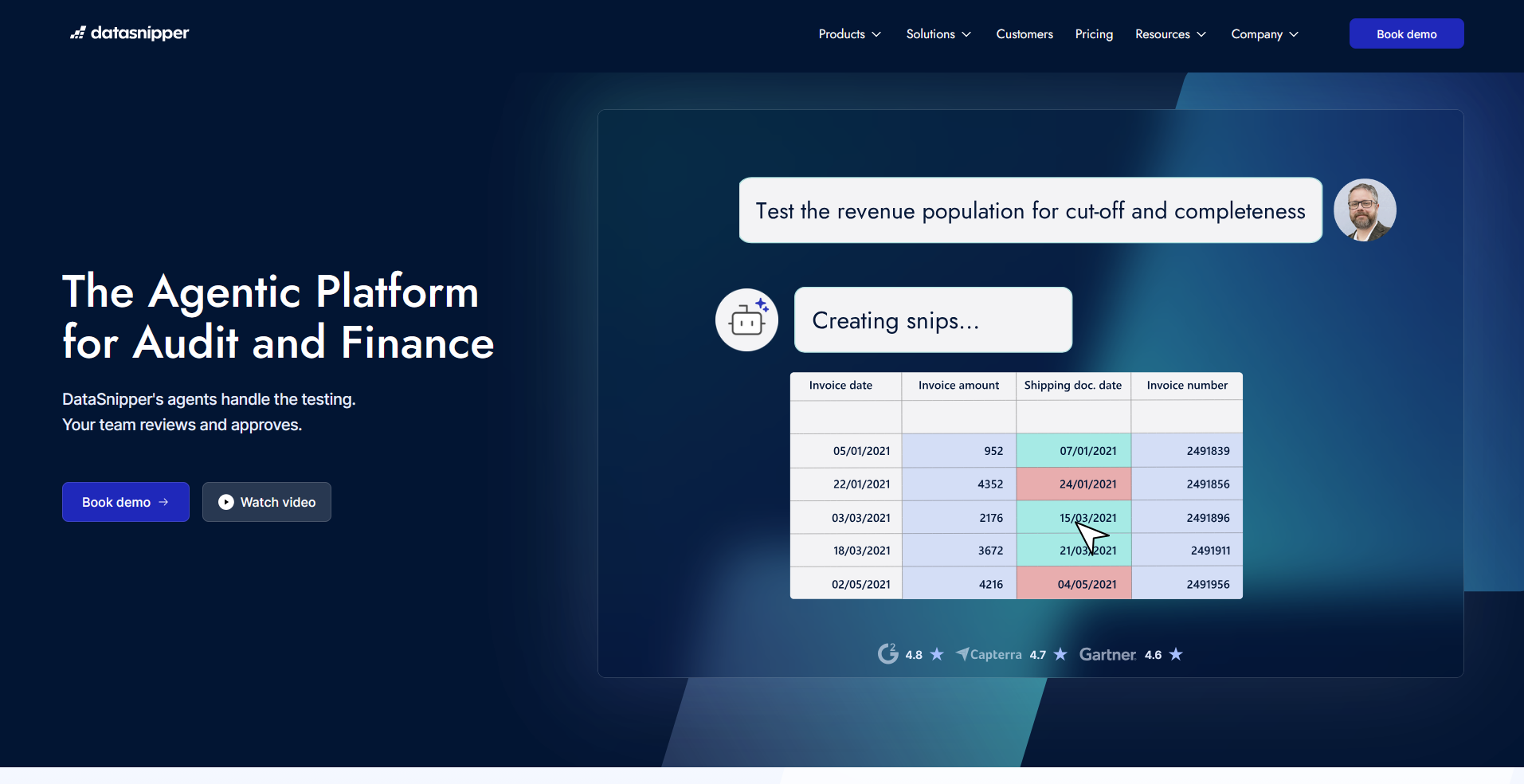 Datasnipper homepage