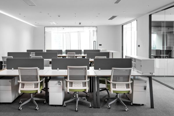 11 Zendo alternatives and competitors in 2026