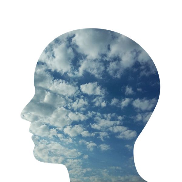 Problems and Perceptions: A Journey Towards Inner Peace