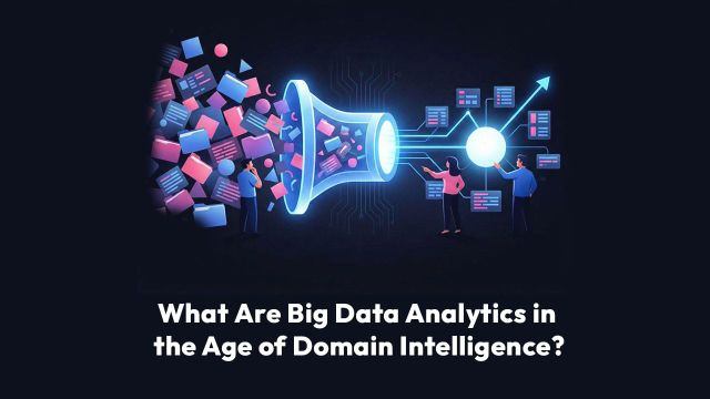 What Are Big Data Analytics in the Age of Domain Intelligence?
