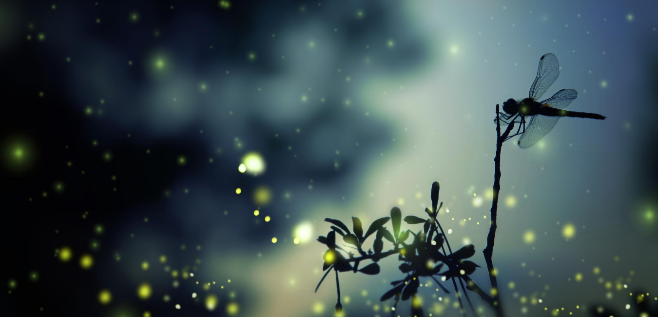 The Kimberly Hartmann Award: A Tribute by Rie Lopez