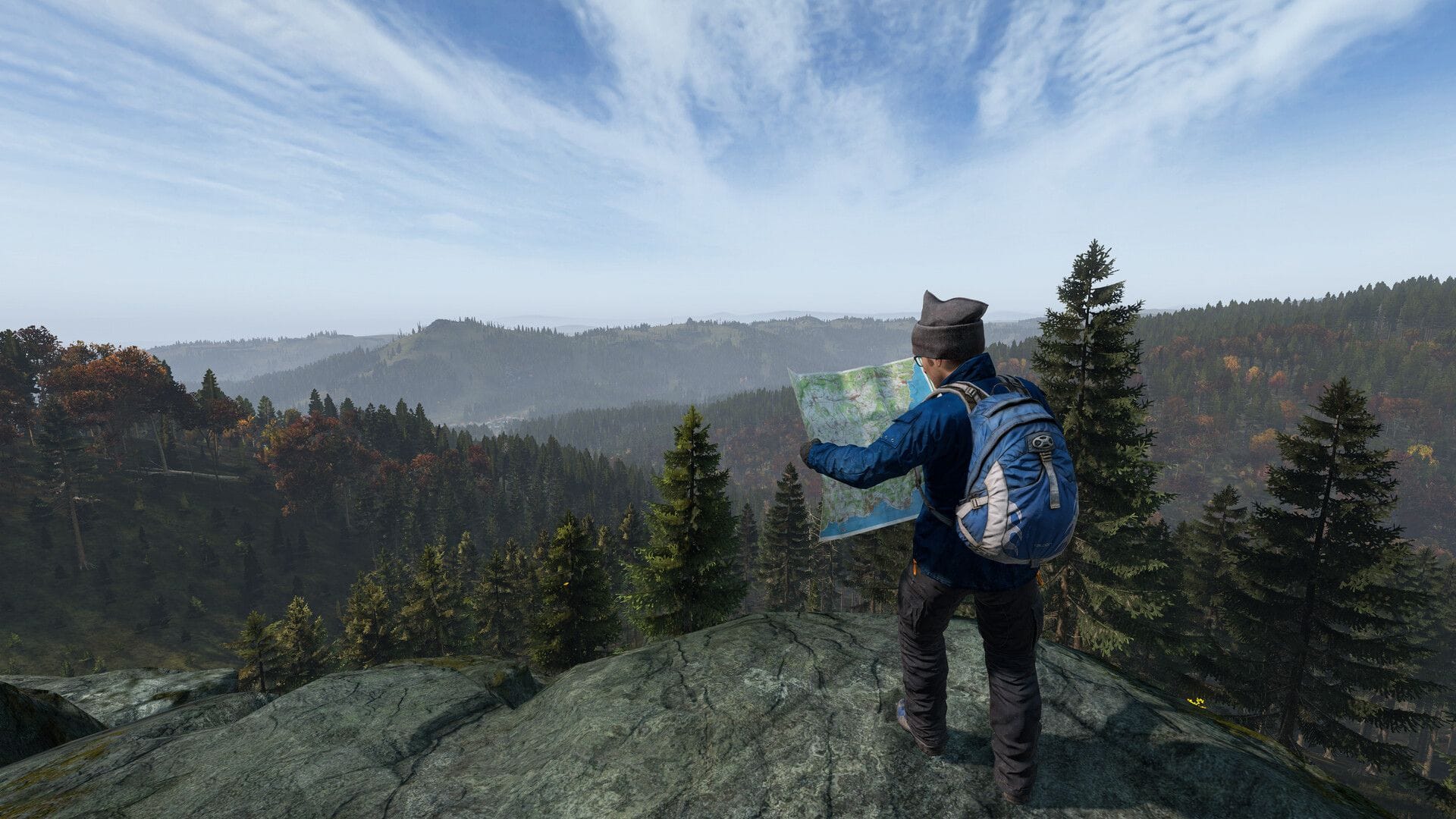 A player looks at a map while overlooking a forest.