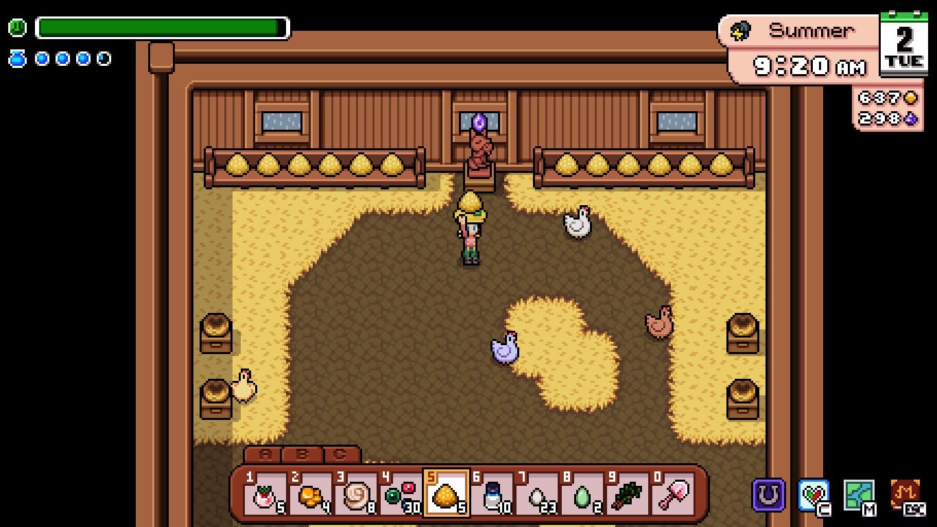 Inside the chicken coop, where chickens mill around.