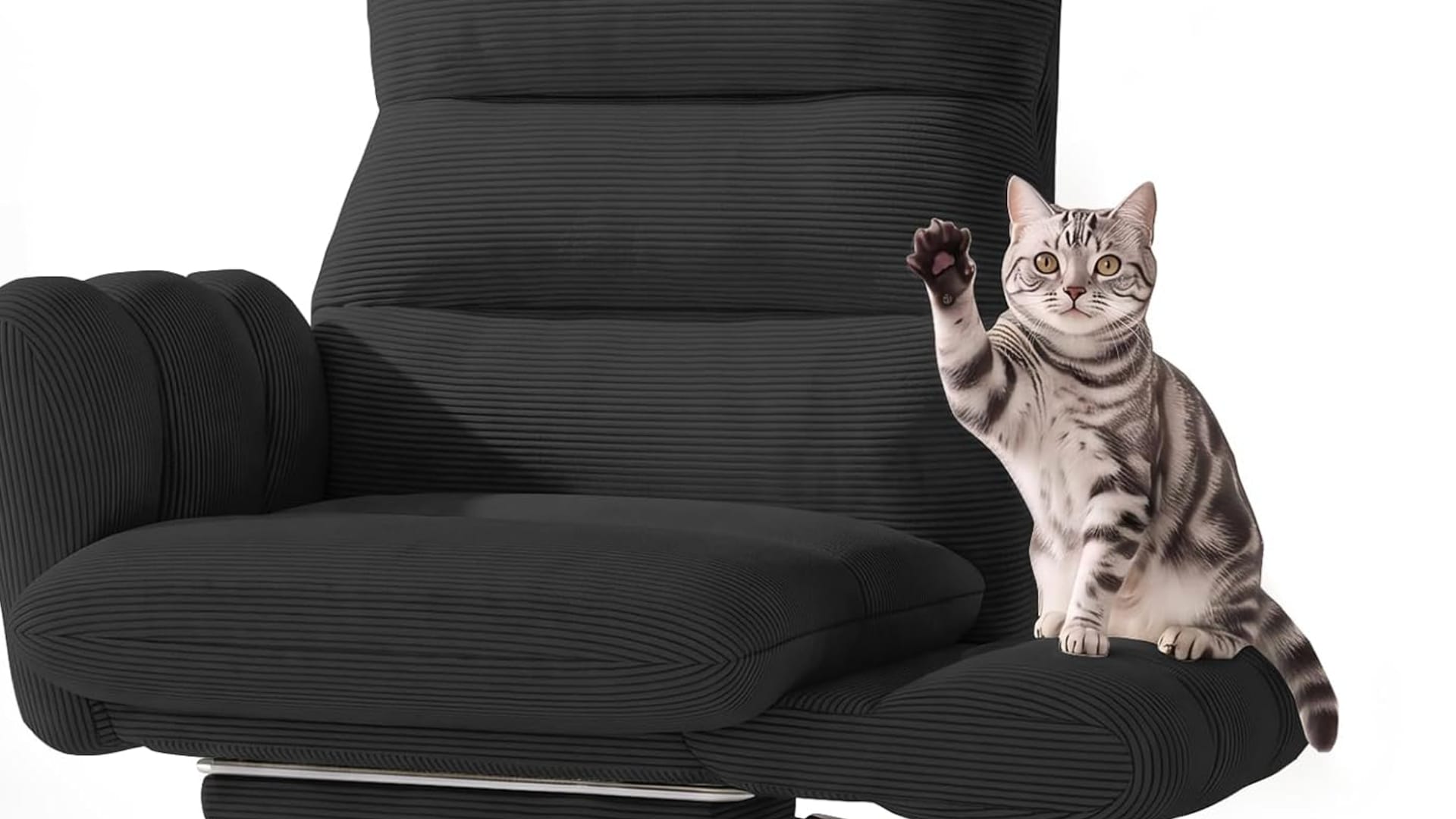 A cat sits on the folded-down arm of a chair, and raises a paw as if in greeting.