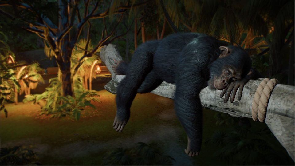 A screenshot from Planet Zoo 2 showing a chimpanzee sleeping on a branch in its enclosure.
