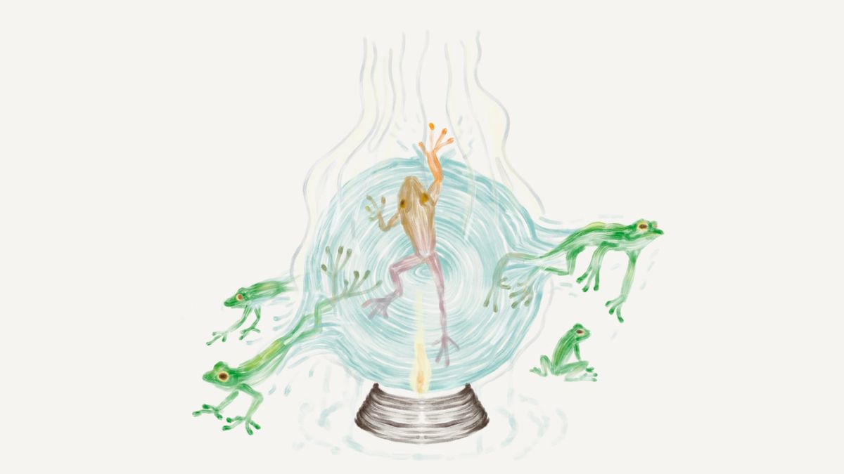 How Amphibians Hold the Climate Crystal Ball