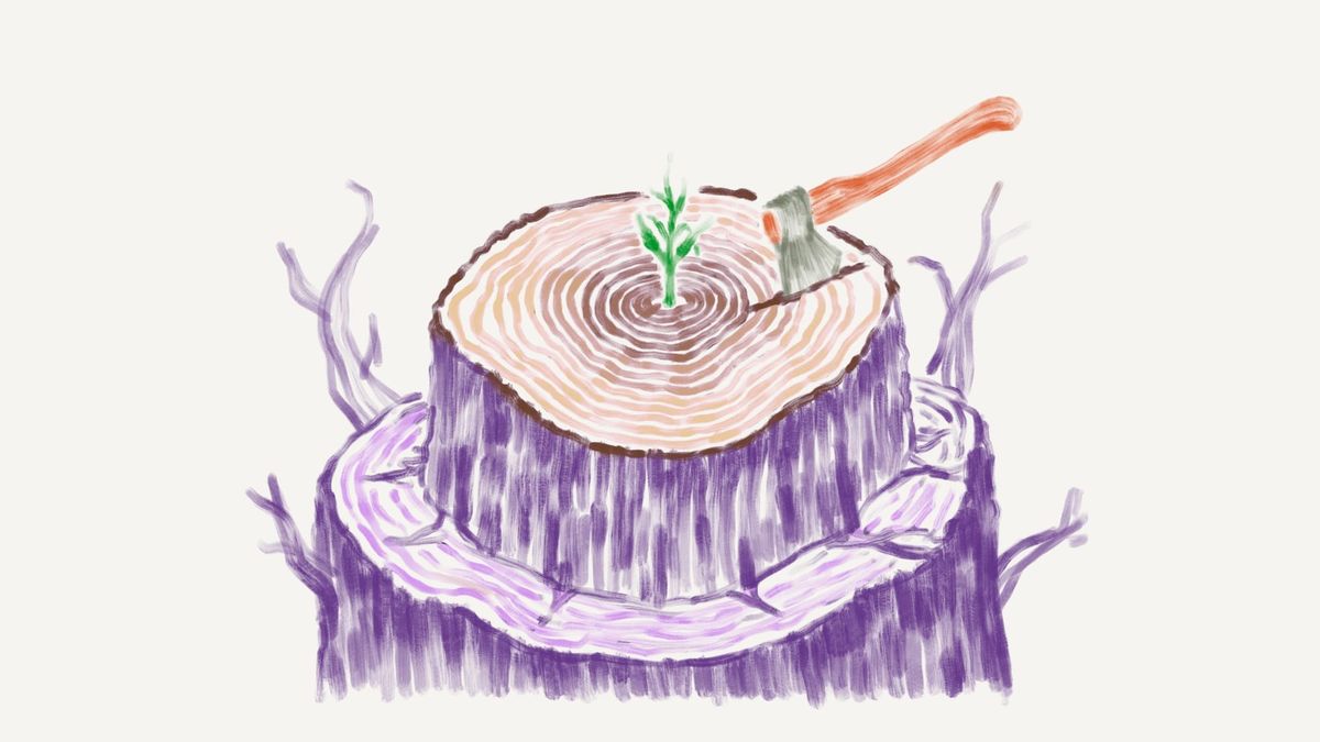 In Defense of Starts: Why Carbon Removal Needs Optimism, Not Cynicism