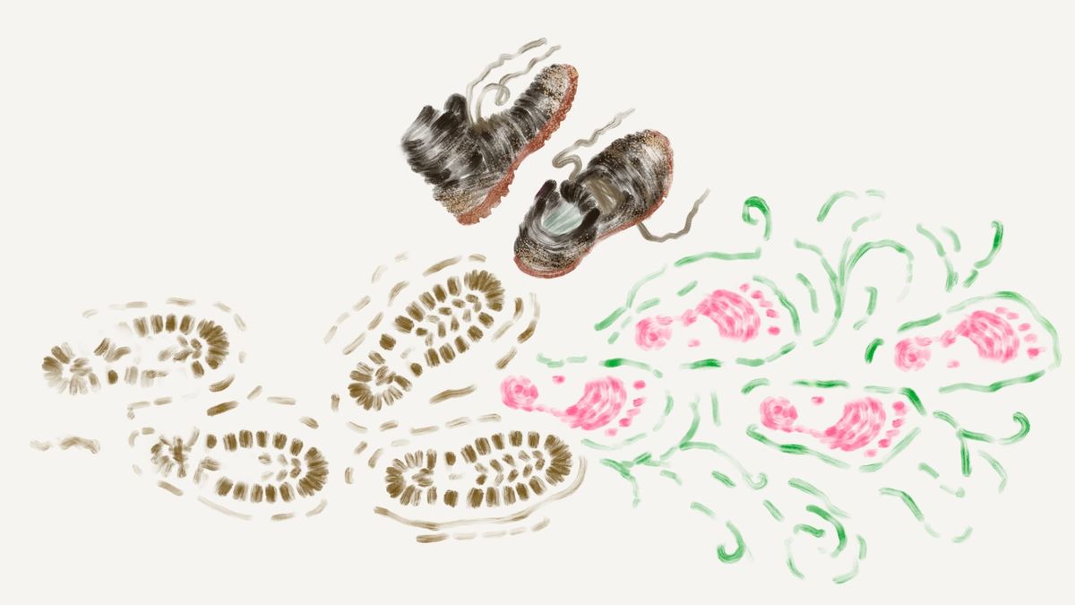 Soil, Shovels, and Suspicion: The Quiet Work Behind Soil Sampling