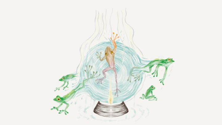 How Amphibians Hold the Climate Crystal Ball