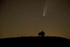 A comet flies through the night sky above a bison on a prairie.