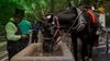 You Love To See It: Cantering For Good News