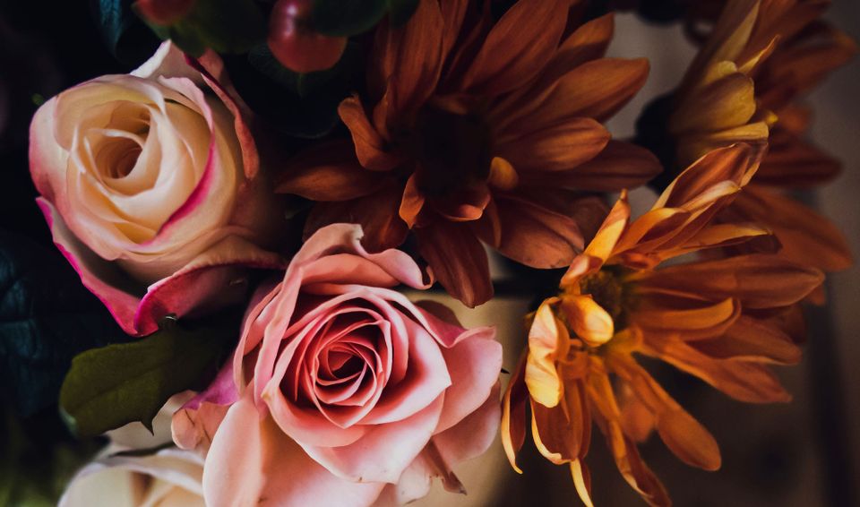 EI: Embodying Emotional Intelligence (Journal)