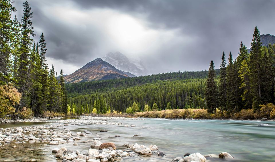 EI: Noble Communication (Journal #3)