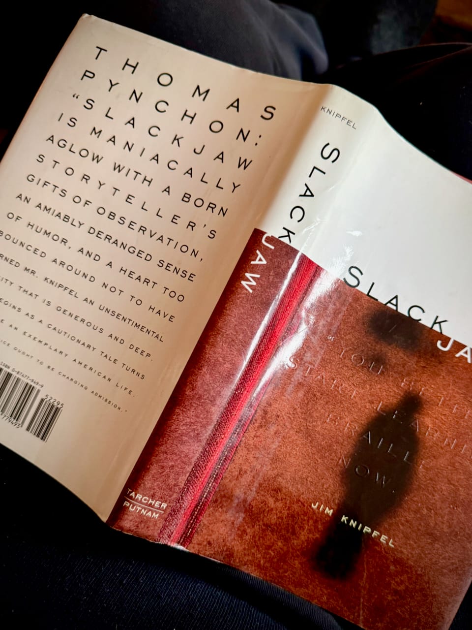 Jim Knipfel's memoir SLACKJAW open on my lap.