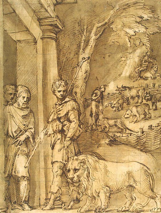 Dibujo que retrata a Androcles acompañado por el león al que había ayudado, realizado por Baldassare Peruzzi. 